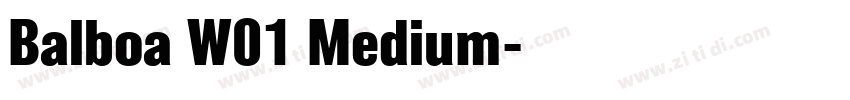 Balboa W01 Medium字体转换
